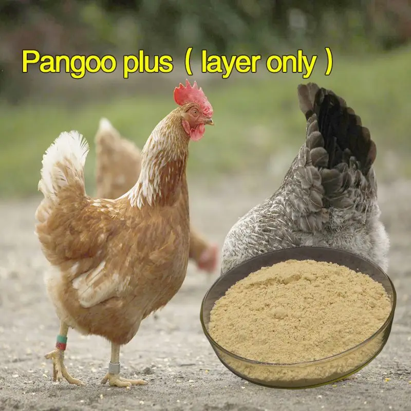 Feed additive egg layer products , chicken , duck , goose