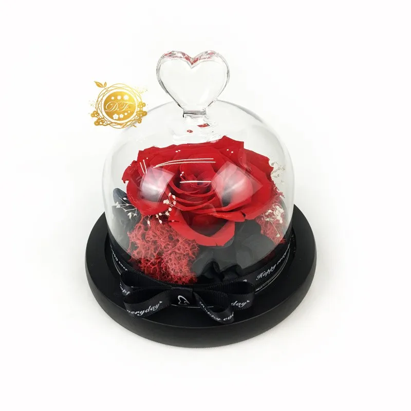 Yunnan Supplier Romantic Preserved Rose Flowers In Small Glass Dome For Girlfriend Gift