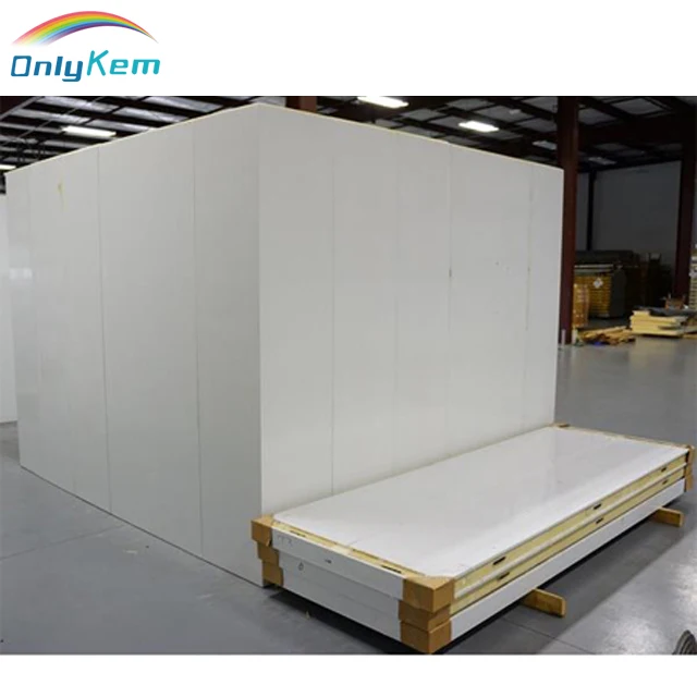 walk in blast freezer room for fish beef chicken