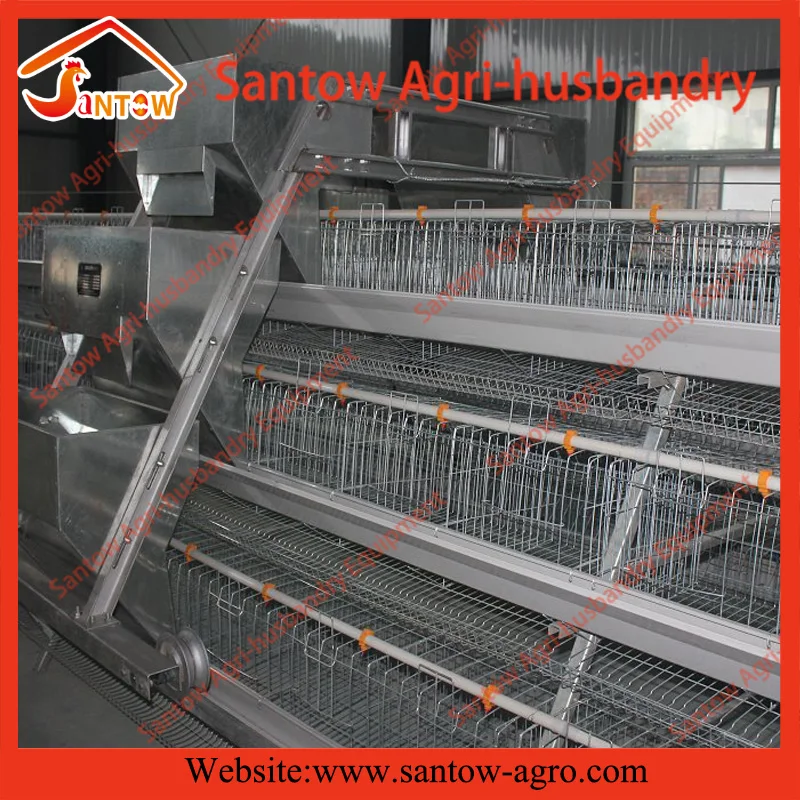 Senegal Battery Chicken House Designed Lowest Price Chicken Layer Cage For Sale( guangzhou Factory )
