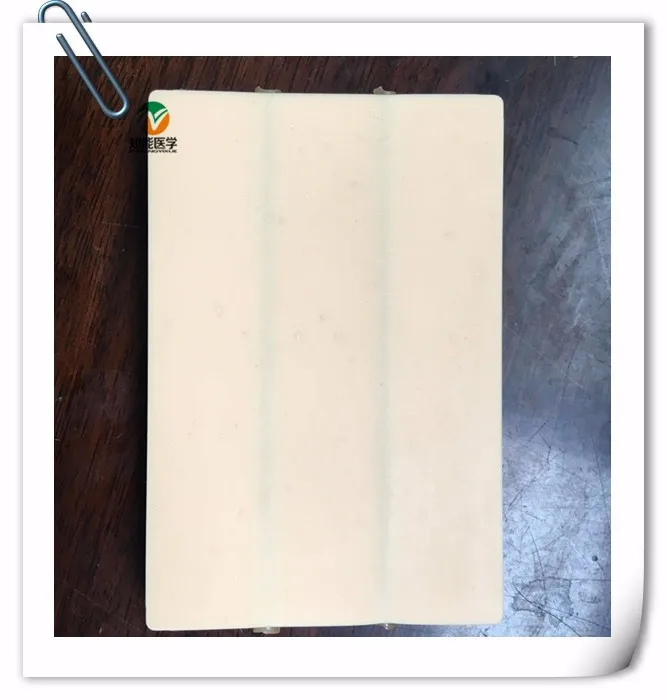 BIX-HS15-2 Medicine 2 Vessel Vein Puncture Training Model