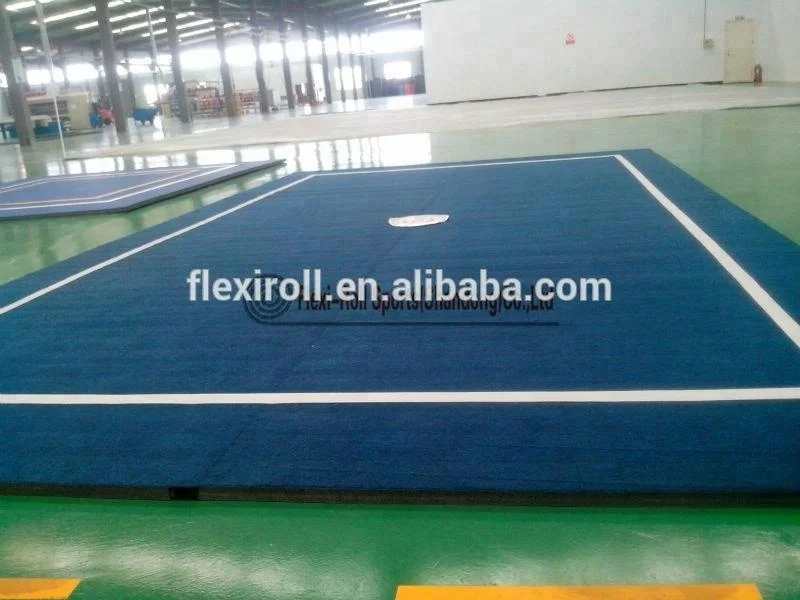 dollamur flexi roll mats / wushu carpet / standard carpet mats