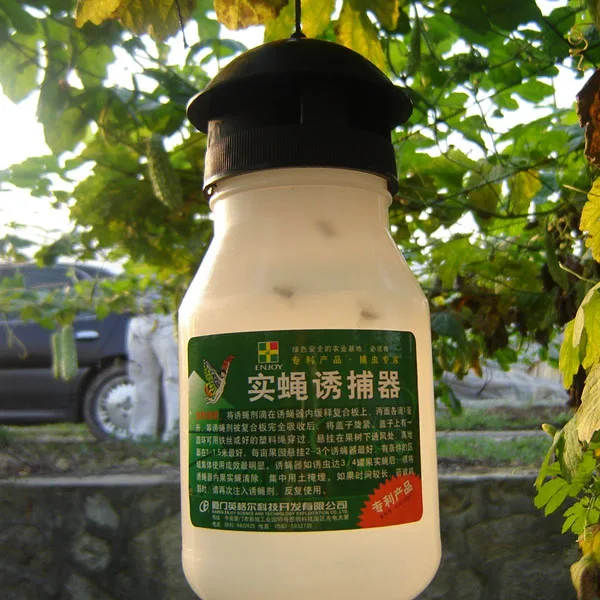 Outdoor fly trapper melon fly killer fruit fly catcher