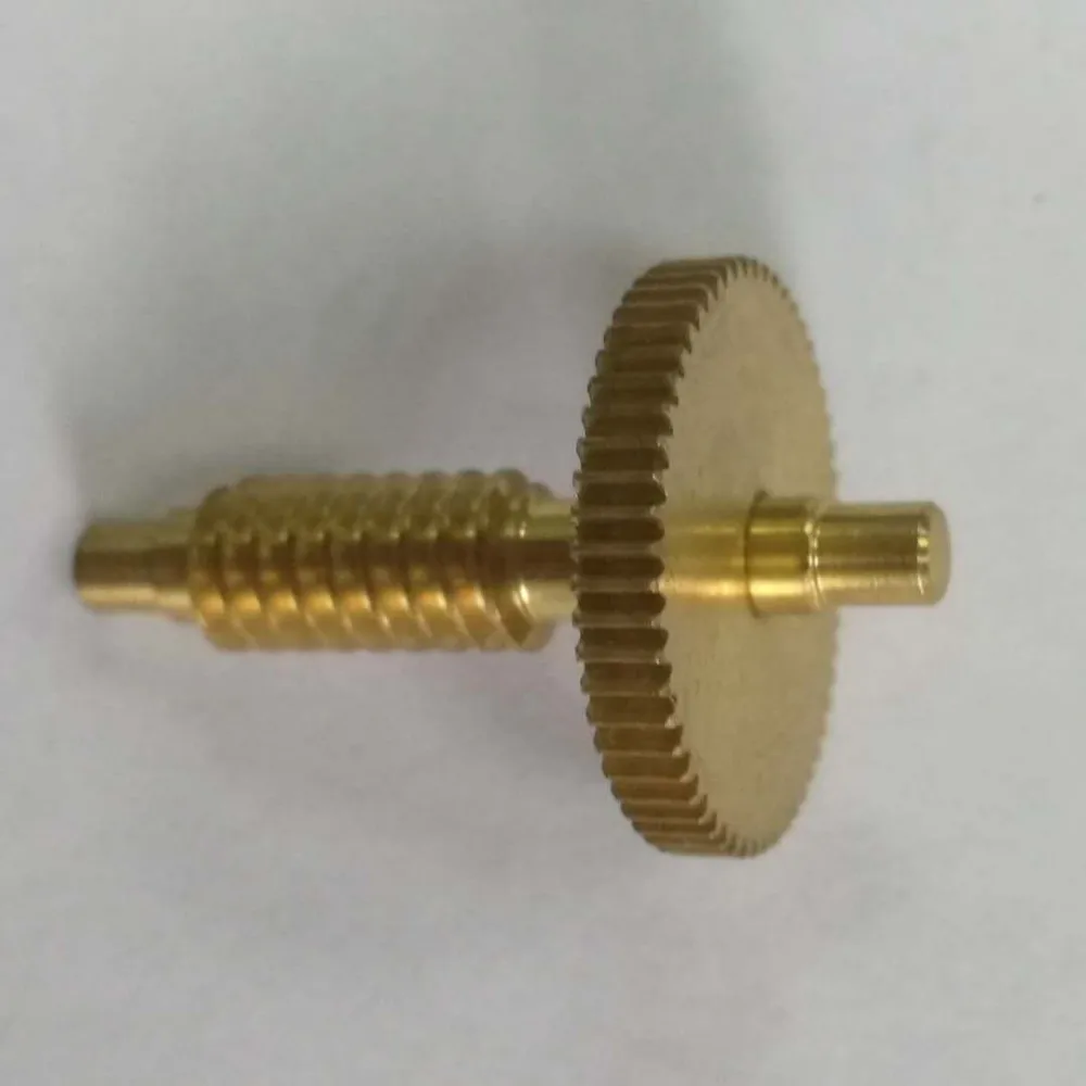 
Hot Sale OEM Customized l ROHS Worm Gear Shaft/Gear Worm 