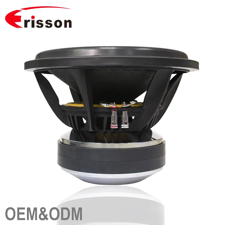 OEM Supplier High Quality Loudspeaker Spl Audio 5000 Watts Subwoofer 15 Inch Subwoofer Car Audio