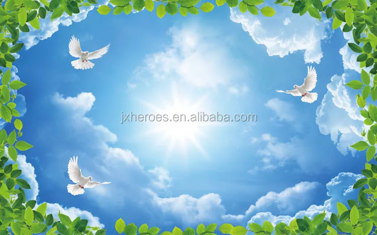 High End Household Clear Sky Design 3D Ceiling Wallpaper