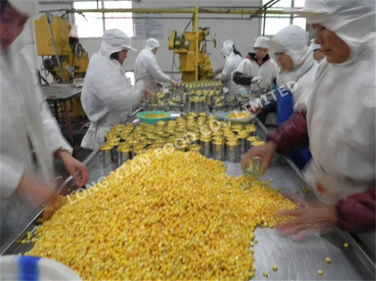 canned sweet corn canned kernel corn wholesale price  oem brand 3kg
