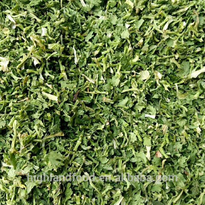 Delicious Chinese Vegetable Dried Dehydrated Parsley /coriander Leaves