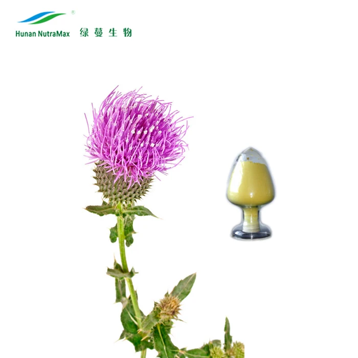Water Soluble Milk Thistle Seed Extract Silymarin Powder 10%20%40%