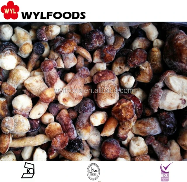 
china good price IQF Frozen Mushrooms Boletus Edulis 