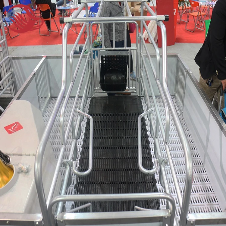 Piggery Farm Equipment, Galvanized Pig Farrowing Crates