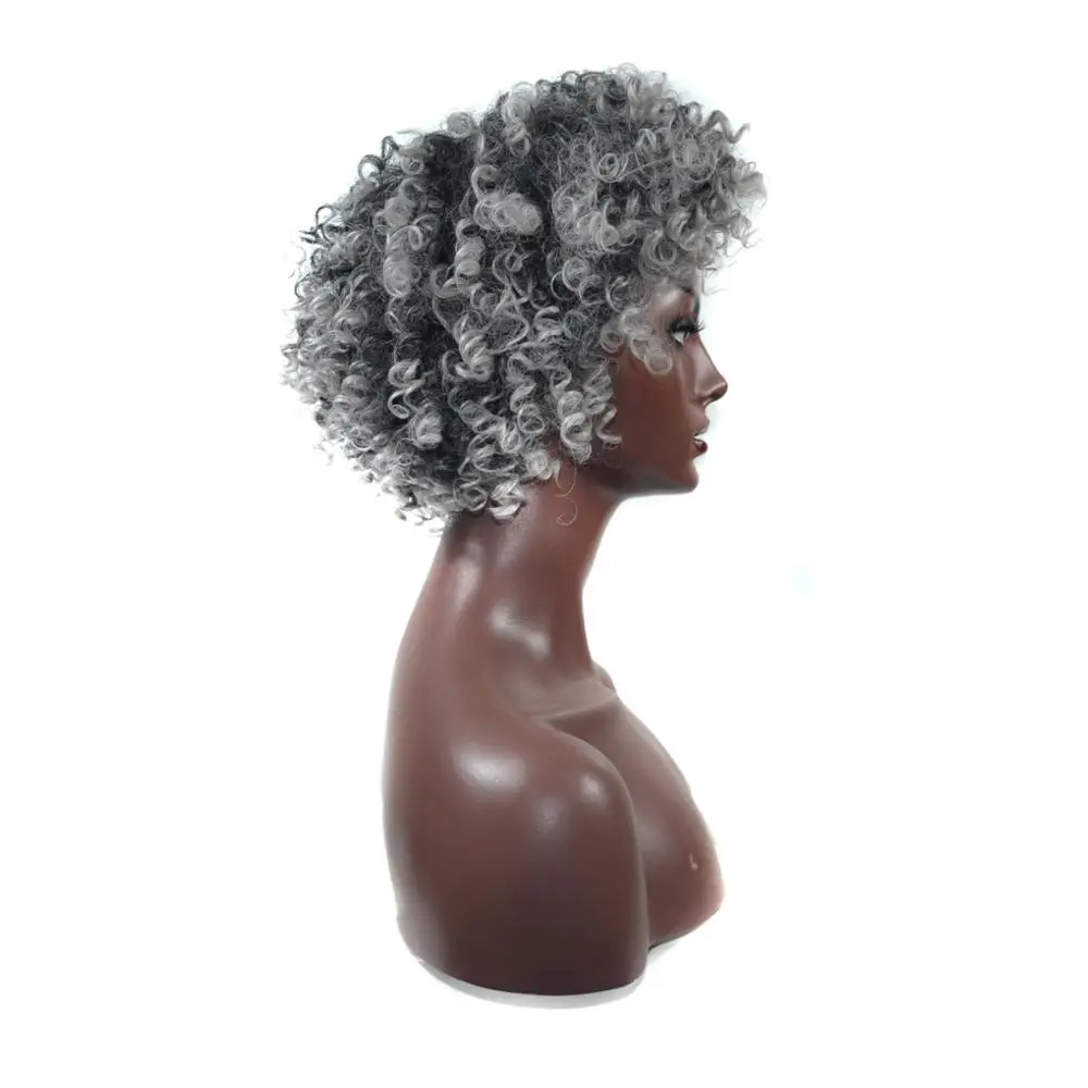 AliLeader Curly Grey Hair New Wigs Synthetic Hair Kinky Curly Wig For Black Women