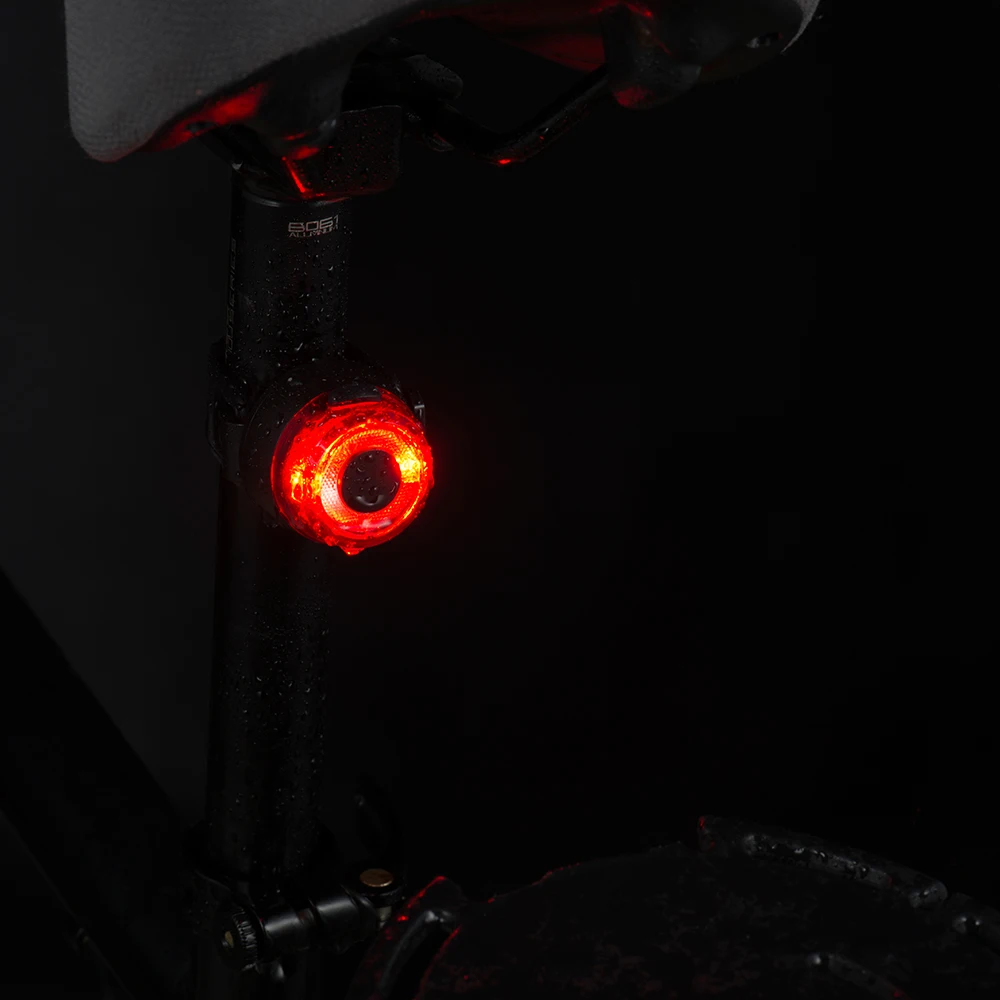 Factory direct Sate-lite USB rechargeable bike light StVZO eletric bike rear  light CREE LED waterproof