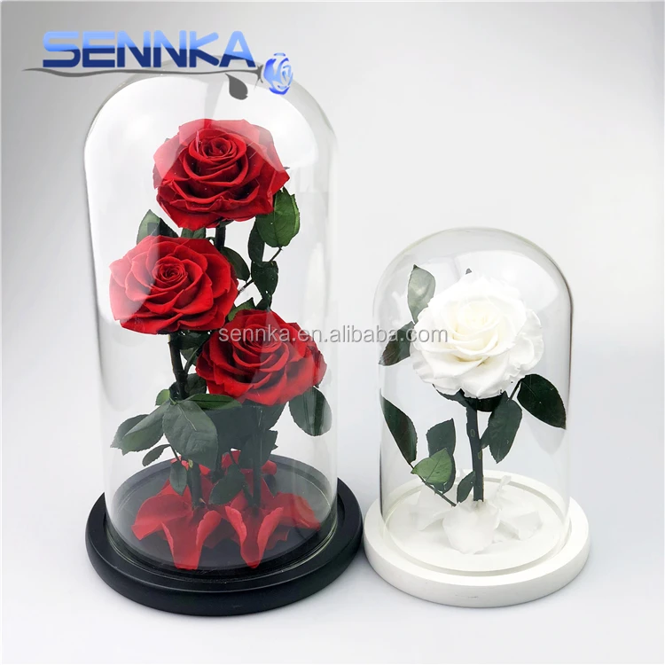 Wholesale preserved flower in glass handmade natural eternal for happy new year gift