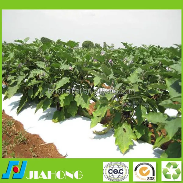 
13gsm pp spunbond non woven agriculture biodegradable mulch film  (1600216475194)