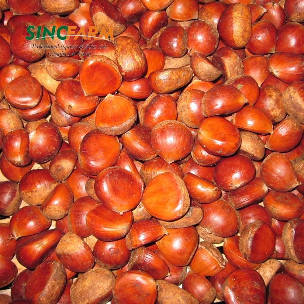Wholesale fresh chestnut price per kg
