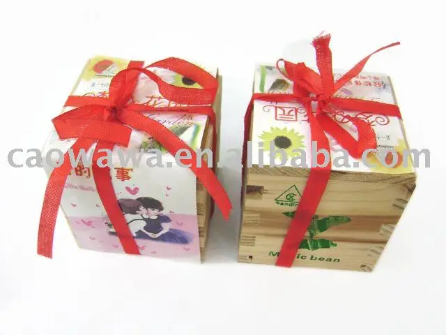 волшебный боб