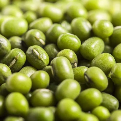 
 Качественные зеленые бобы в Китае высокого качества  <strong>Название продукта</strong>Происхождение введение