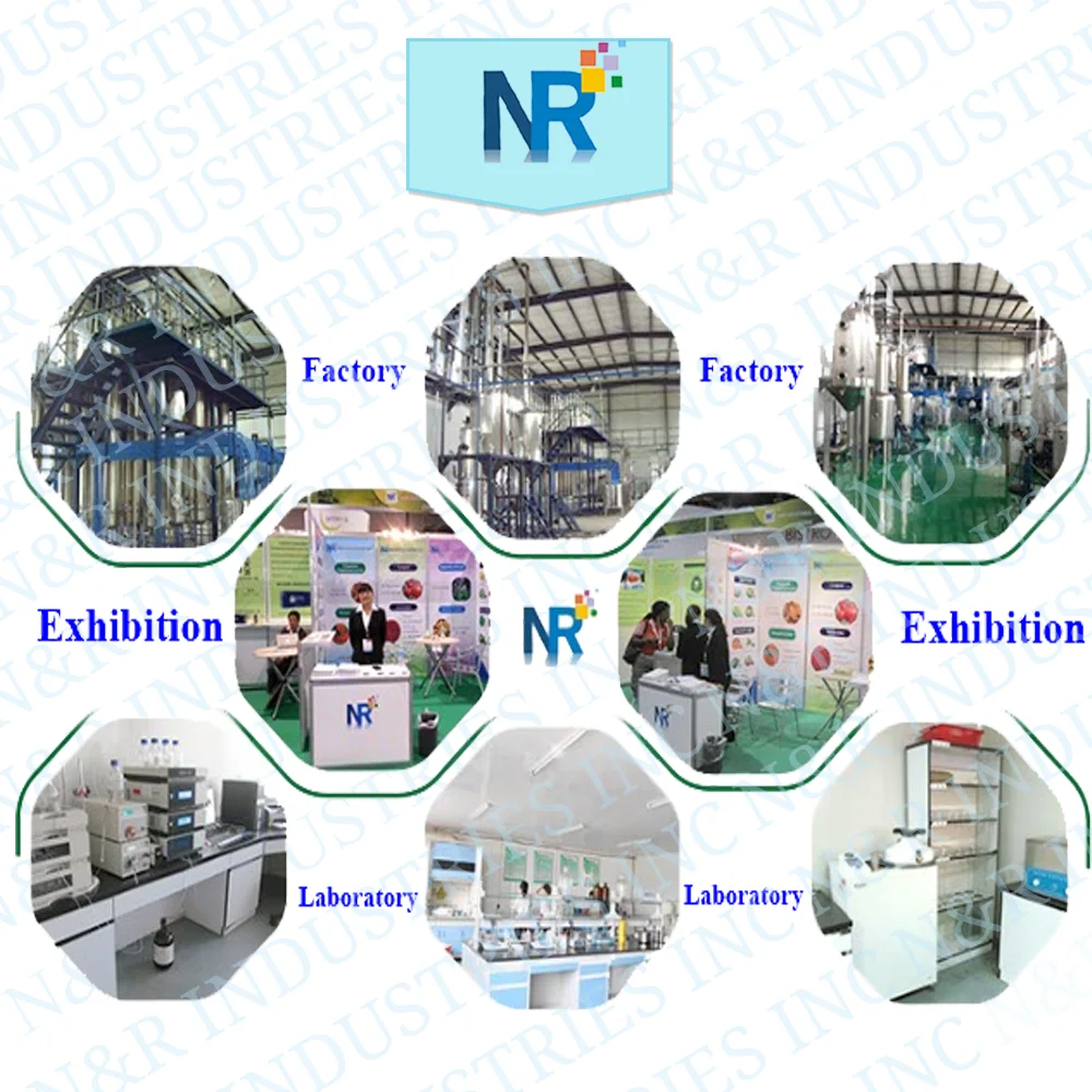 
Bulk and Good price for Honey Royal Jelly Powder and Supply other Bee products Bee Propolis, Bee Pollen etc 