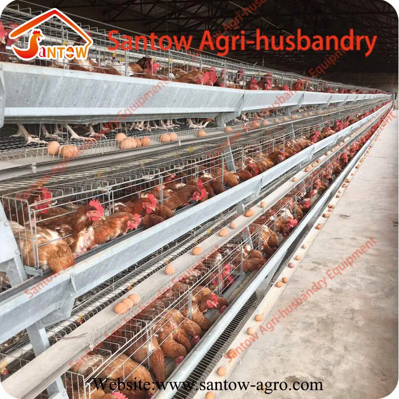 Pakistan Libya Turkey poultry farm layer cage chicken layer poultry designs