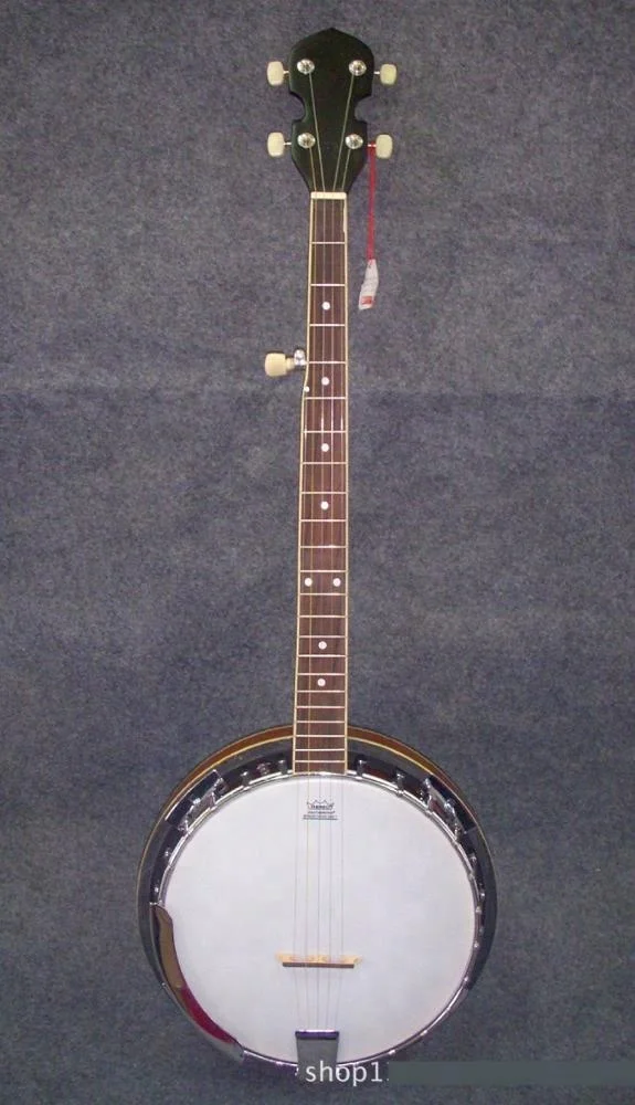 Weifang Rebon 5 string  banjo