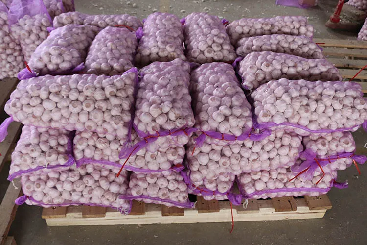 
Fresh Garlic Specification, Fresh Ginger And Fresh Garlic 