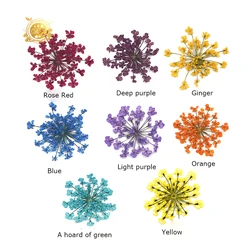 2022 Hot sale dried preserved babysbreath Detain flower for  home decoration