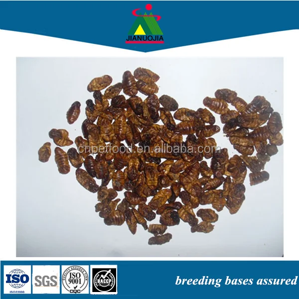 Полиэтиленовые пакеты, золотой аквариум, Тилапия, корм для рыб