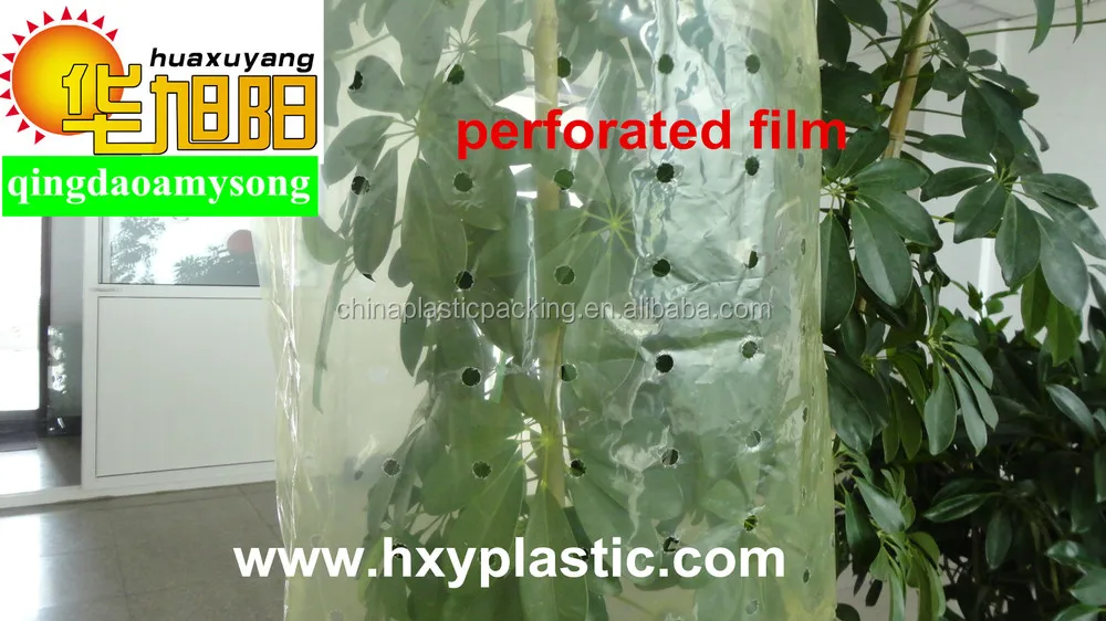 
PE plastic tomato growing protective tube film 