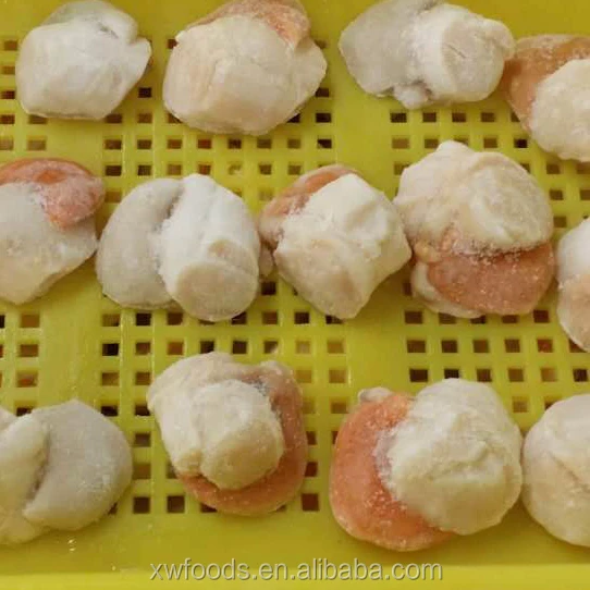 Russian Scallop Roe on