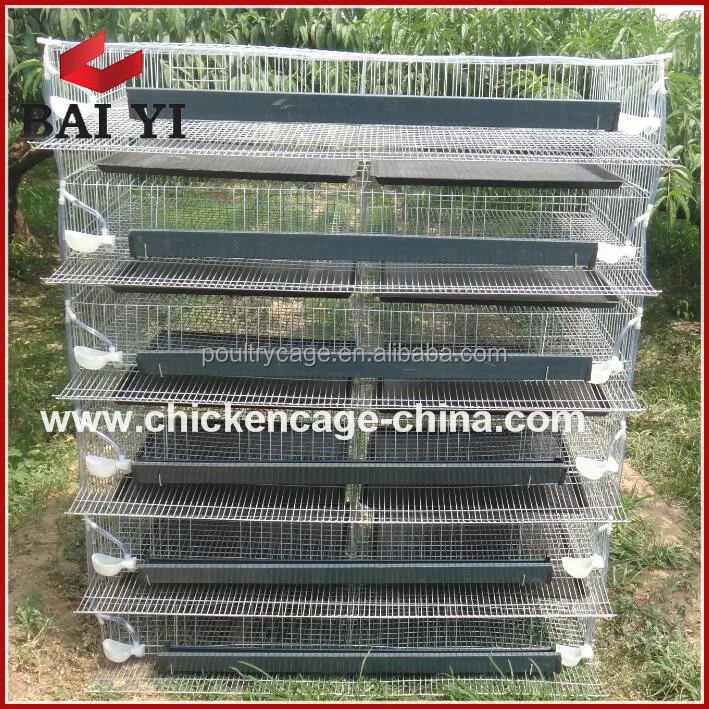 Хорошее качество, автоматическая система очистки воды и подачи перепелиное яйцо разведение клетка на продажу