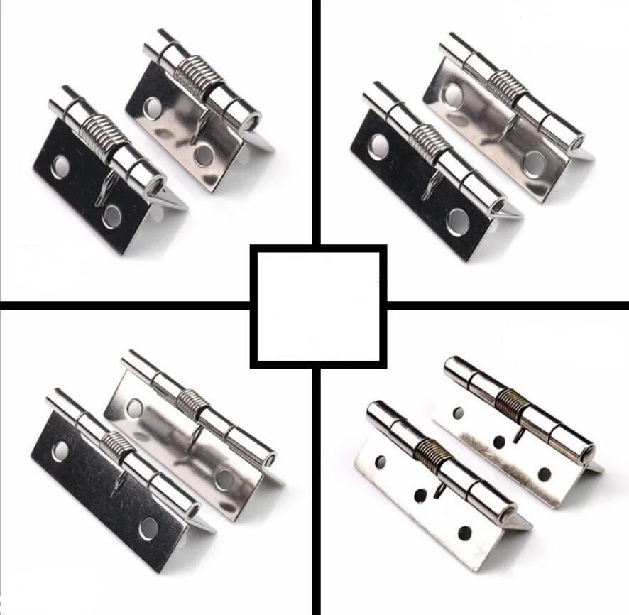 
Stainless steel Spring hinges 