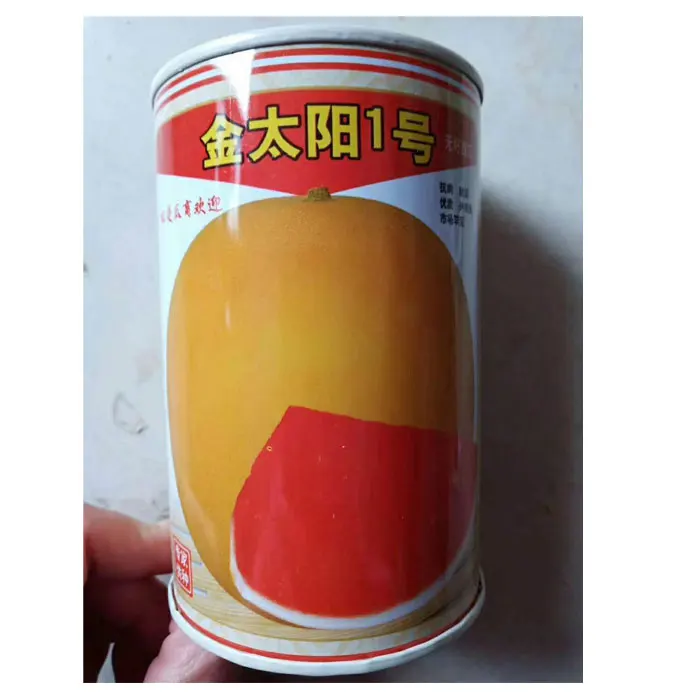 2021 Super big fruit High yield watermelon seeds with good price from seeds factory with good package 10gram/bags