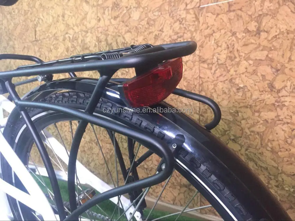 
Country woman, canada electric ebike with speedometer 