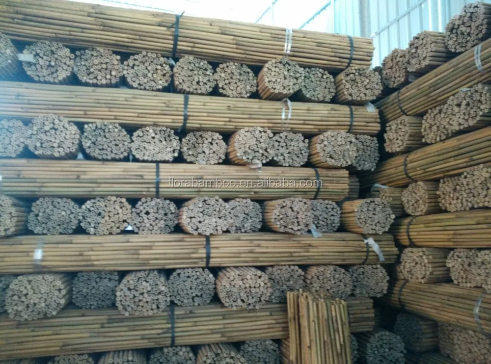 Bamboo pole For Tree Guards,Dia.22-24mm,305cm