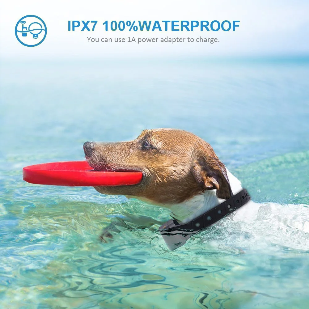 Friendly dog trainer no barking pet protect collar training device without shock