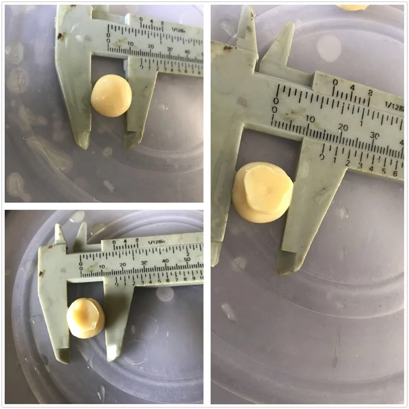 Гриб SO2 в барабане