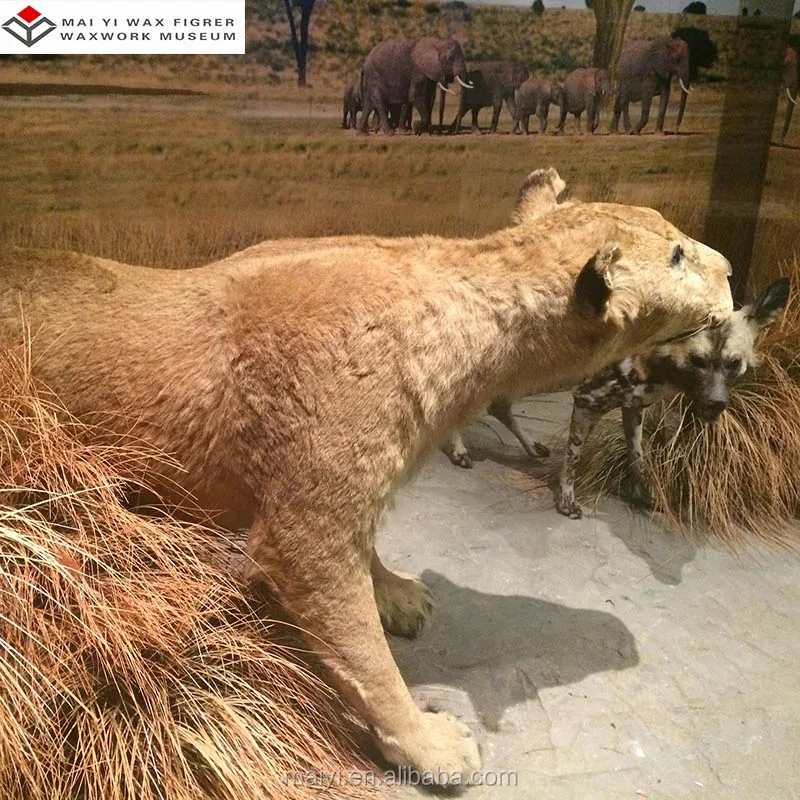 Lifelike Imitation Animal Statue for Exhibition Hall