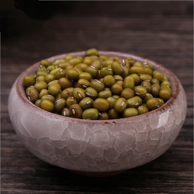 
Chinese top grade fresh green mung bean harvester green mung bean for sprouting 