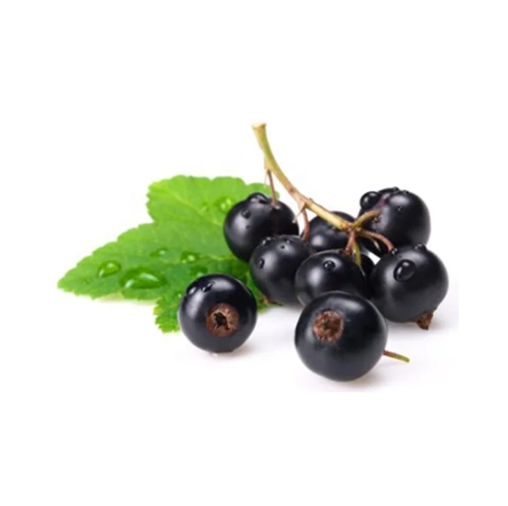  Чистый замороженный порошок сока черной смородины по выгодной цене