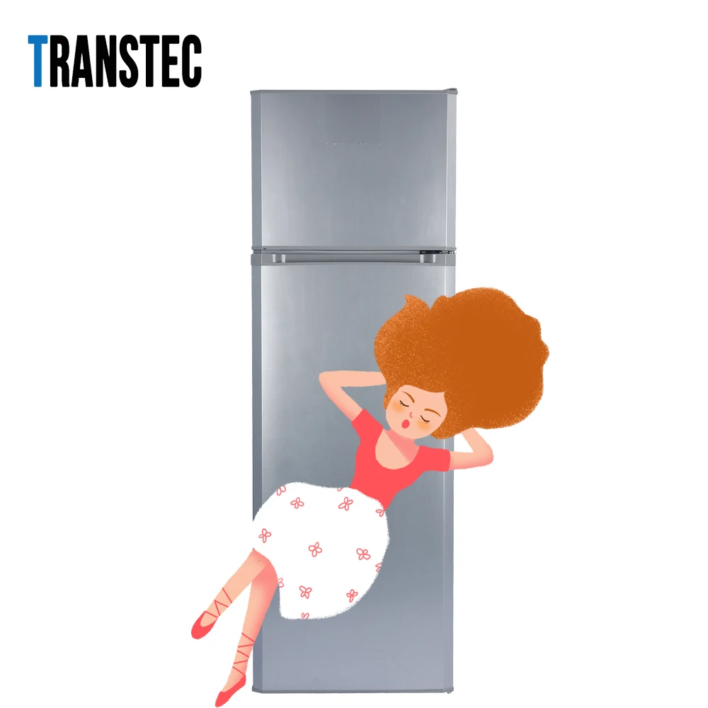 268L Solar Energy Top Freezer Double Door 12V DC refrigerator BCD-268