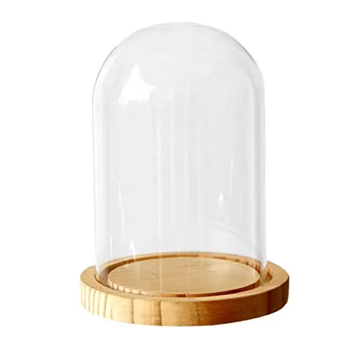 
Wholesale Glass Dome With Wooden Base 