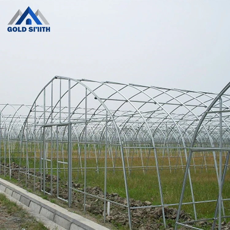 Low Cost Plastic Film Single Span Tunnel Greenhouse with High Quality