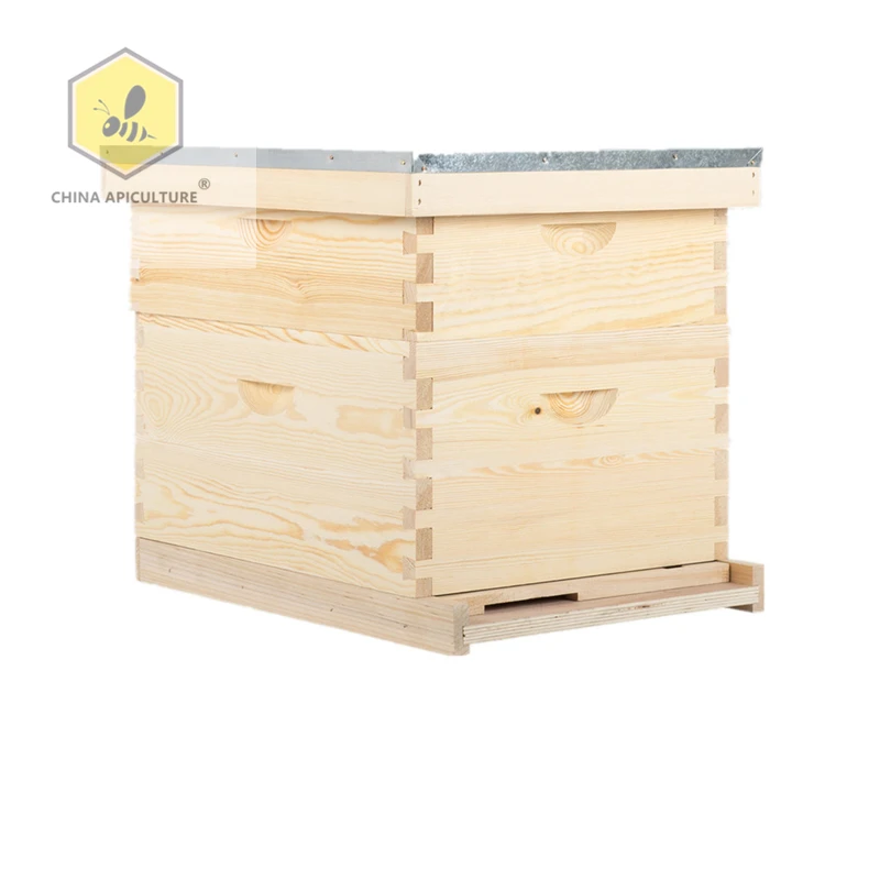 New products apiculture equipment beehive langstroth bee hives for apicoltura