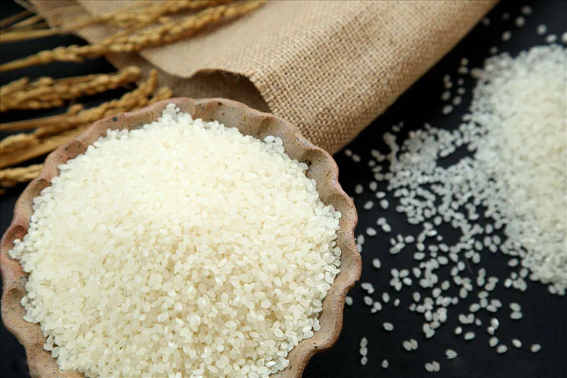 
Vanilla Flavored Rice Protein Powder with Free Sample 