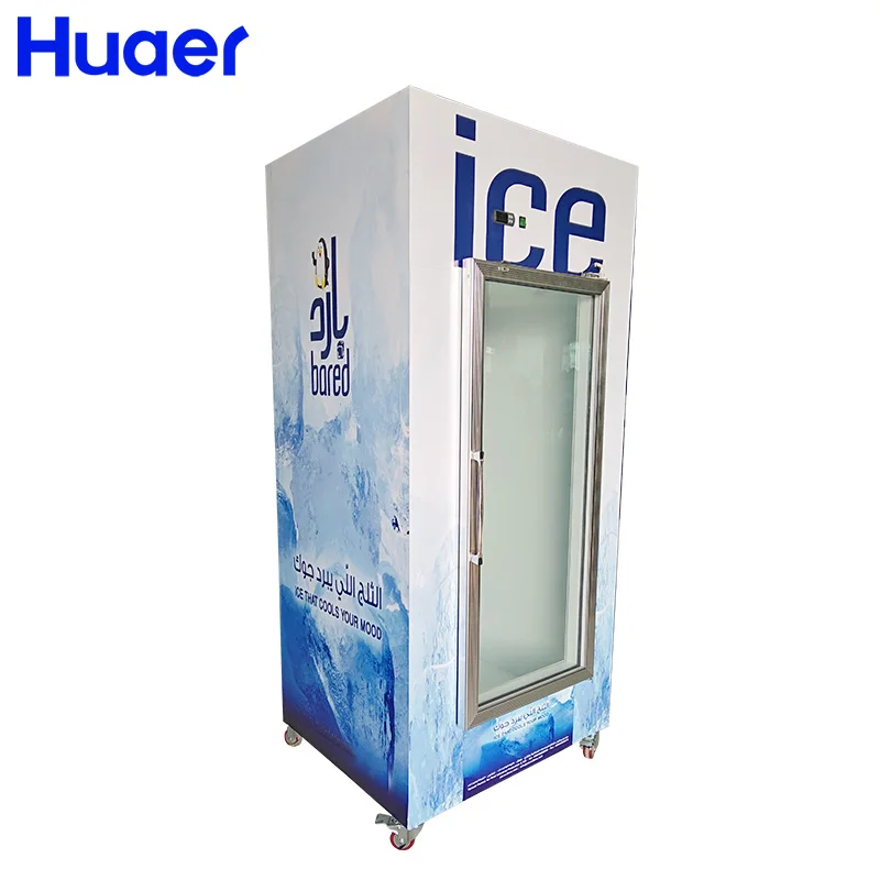 glass door auto defrost deep freezer cold storage bagged ice merchandiser