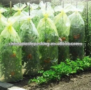 
PE plastic tomato growing protective tube film 
