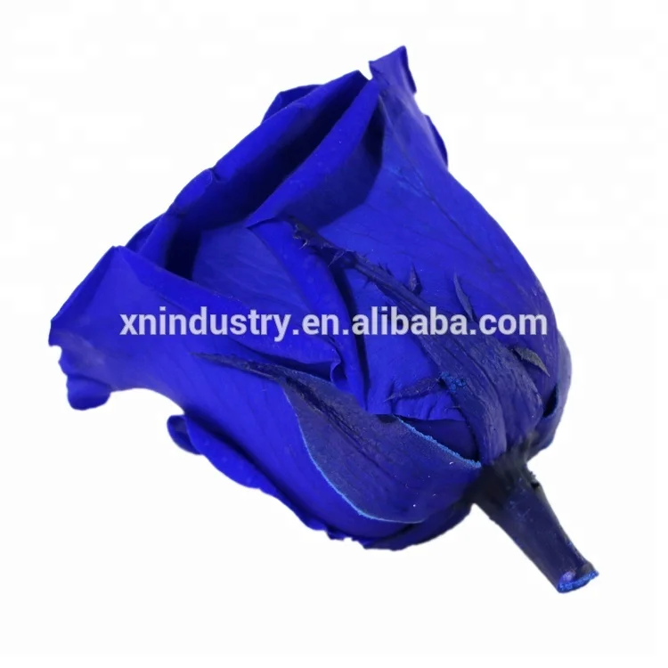 Top Quality preserved rose 4-5 cm blue Roses from Yunnan