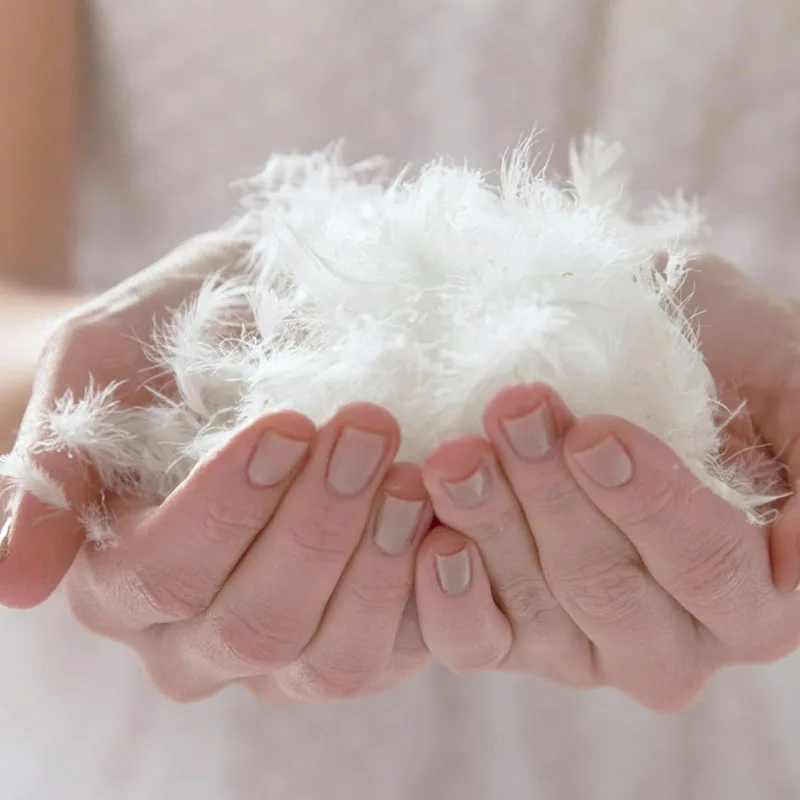 JR611 Hot-selling Hotel Collection Bed Pillows for Sleeping 1200g Comfortable and Supportive Duck Feather Pillow