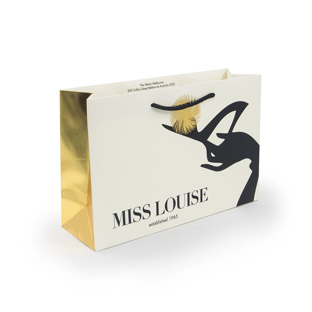 OEM Logo Luxury Brand Paper Bag Craft Paper Gift Bag Paper Shopping Bags For Sale